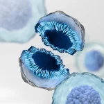 Exosomes microneedling huidherstel, activatie stamcellen